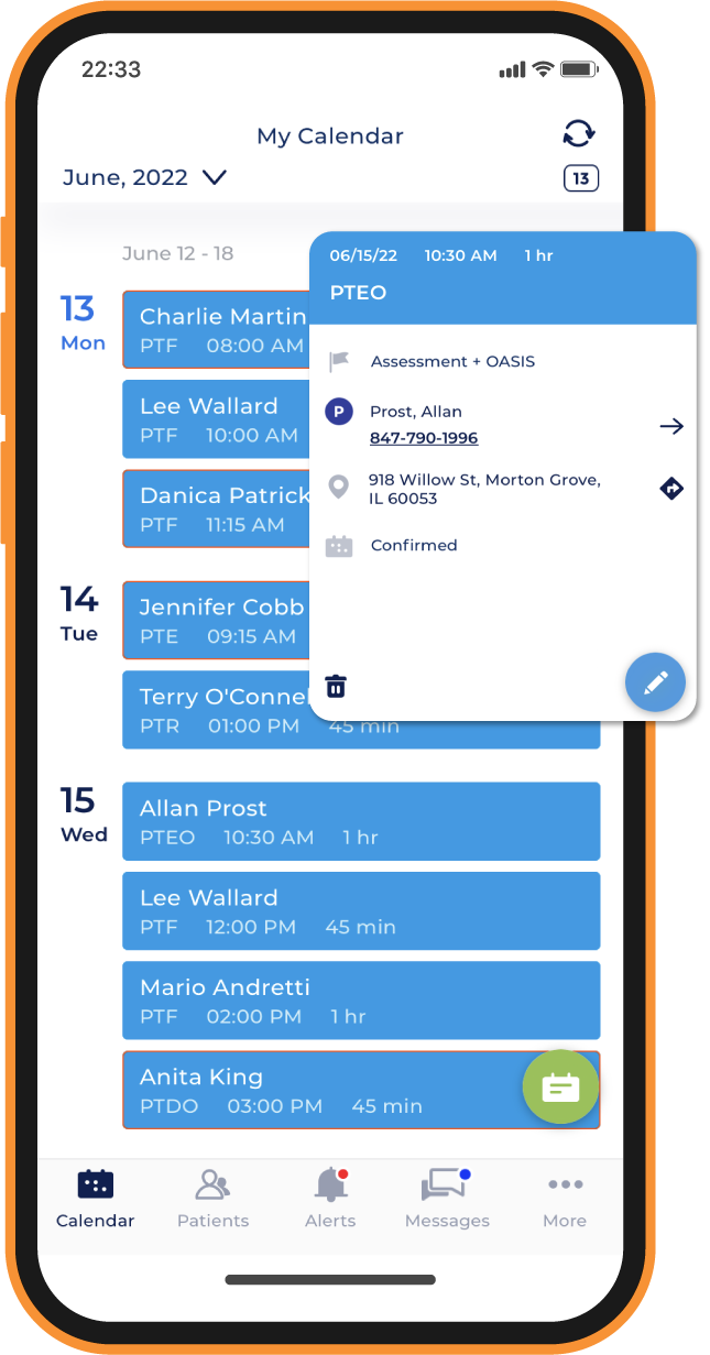 Screenshot of therapyBOSS 2 agenda