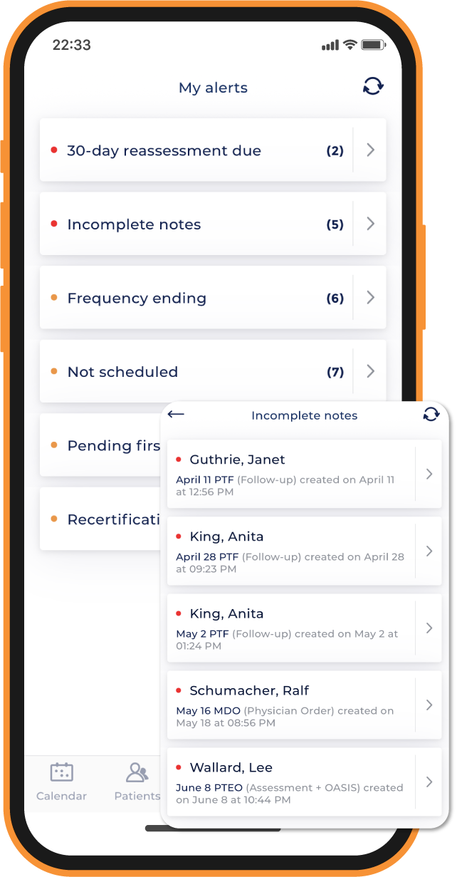 Screenshot of therapyBOSS 2 alerts