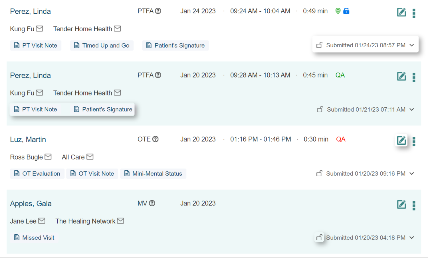 therapyBOSS screenshot