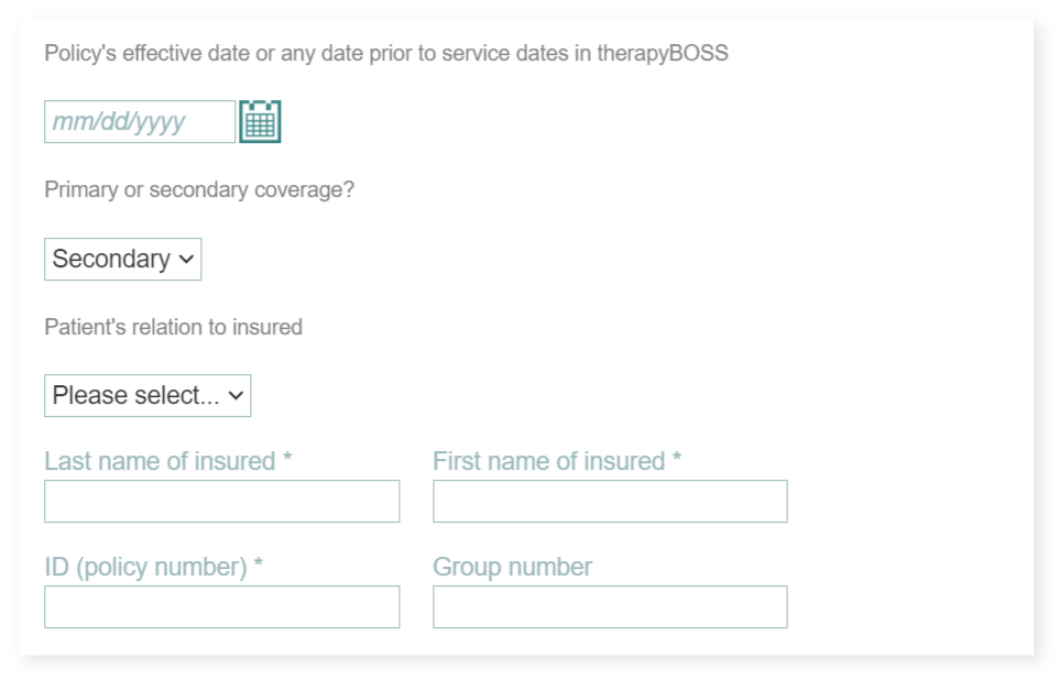 therapyBOSS screenshot