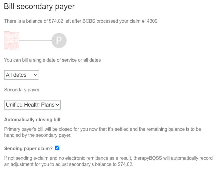 therapyBOSS screenshot