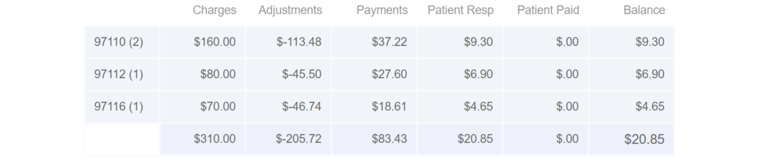 therapyBOSS screenshot